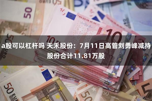 a股可以杠杆吗 天禾股份：7月11日高管刘勇峰减持股份合计11.81万股