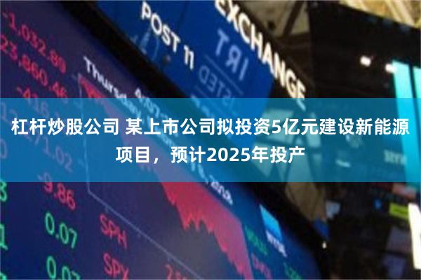 杠杆炒股公司 某上市公司拟投资5亿元建设新能源项目，预计2025年投产