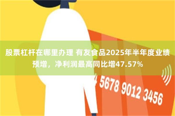 股票杠杆在哪里办理 有友食品2025年半年度业绩预增，净利润最高同比增47.57%