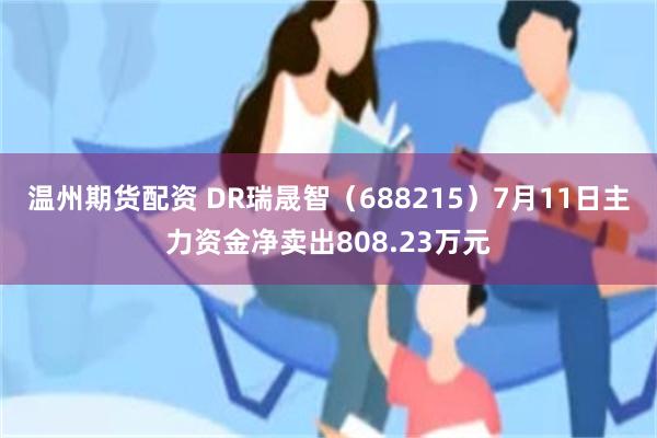 温州期货配资 DR瑞晟智（688215）7月11日主力资金净卖出808.23万元
