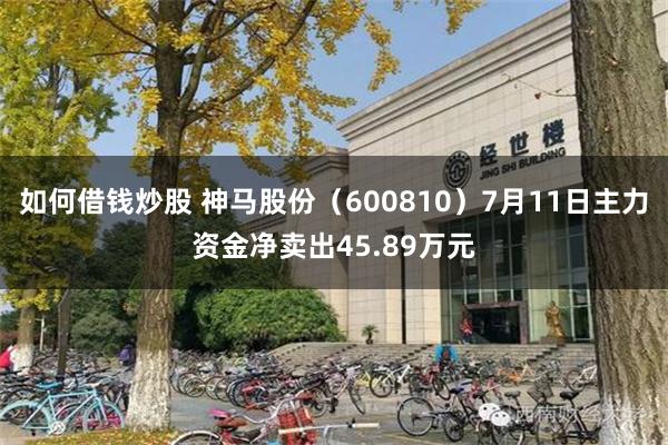 如何借钱炒股 神马股份（600810）7月11日主力资金净卖出45.89万元