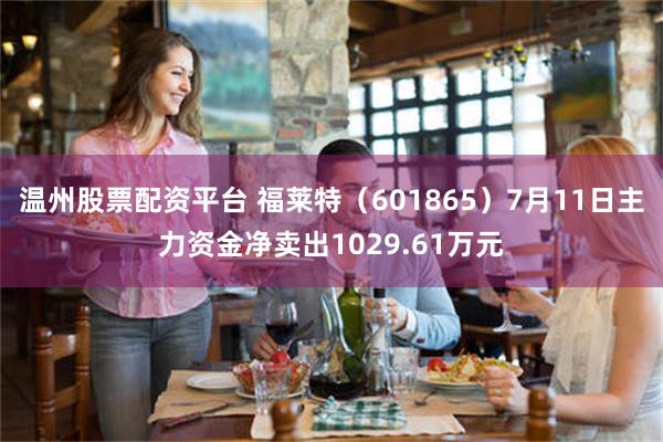 温州股票配资平台 福莱特（601865）7月11日主力资金净卖出1029.61万元
