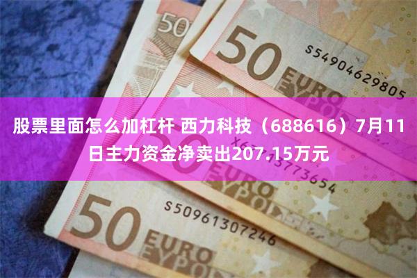 股票里面怎么加杠杆 西力科技（688616）7月11日主力资金净卖出207.15万元