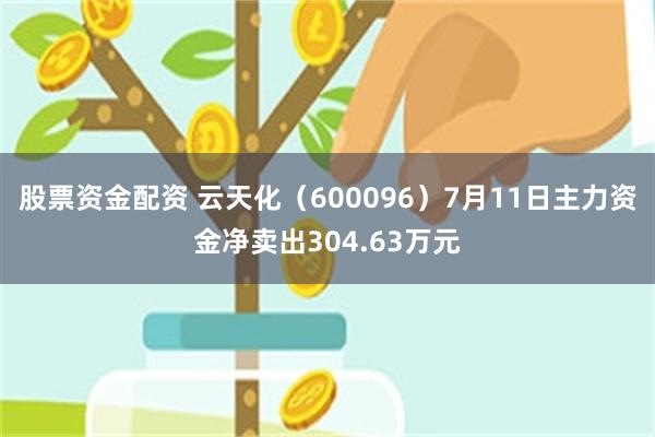 股票资金配资 云天化（600096）7月11日主力资金净卖出304.63万元