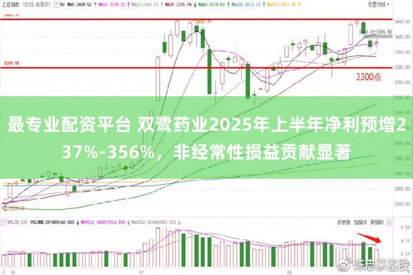 最专业配资平台 双鹭药业2025年上半年净利预增237%-356%，非经常性损益贡献显著