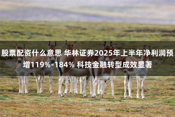 股票配资什么意思 华林证券2025年上半年净利润预增119%-184% 科技金融转型成效显著