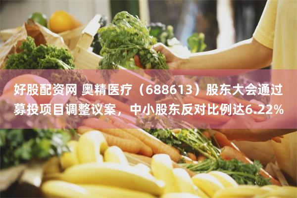好股配资网 奥精医疗（688613）股东大会通过募投项目调整议案，中小股东反对比例达6.22%