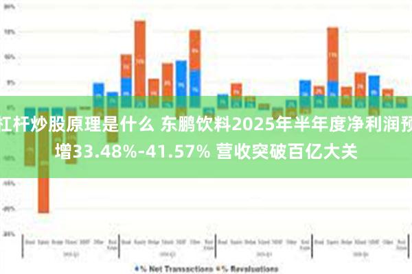 杠杆炒股原理是什么 东鹏饮料2025年半年度净利润预增33.48%-41.57% 营收突破百亿大关