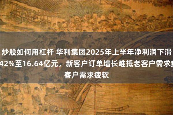 炒股如何用杠杆 华利集团2025年上半年净利润下滑11.42%至16.64亿元，新客户订单增长难抵老客户需求疲软