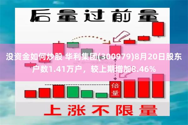 没资金如何炒股 华利集团(300979)8月20日股东户数1.41万户，较上期增加8.46%