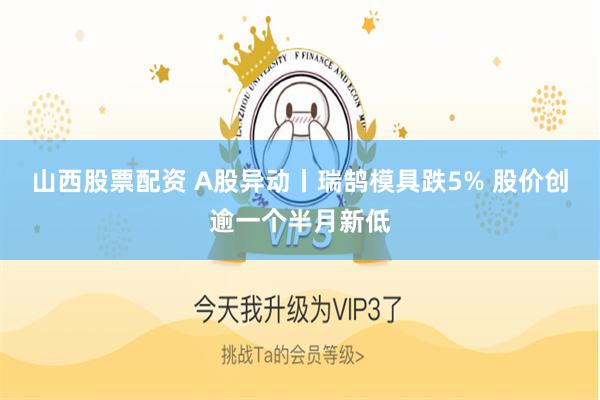 山西股票配资 A股异动丨瑞鹄模具跌5% 股价创逾一个半月新低