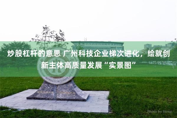炒股杠杆的意思 广州科技企业梯次进化，绘就创新主体高质量发展“实景图”