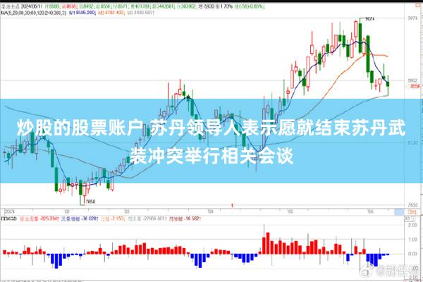 炒股的股票账户 苏丹领导人表示愿就结束苏丹武装冲突举行相关会谈