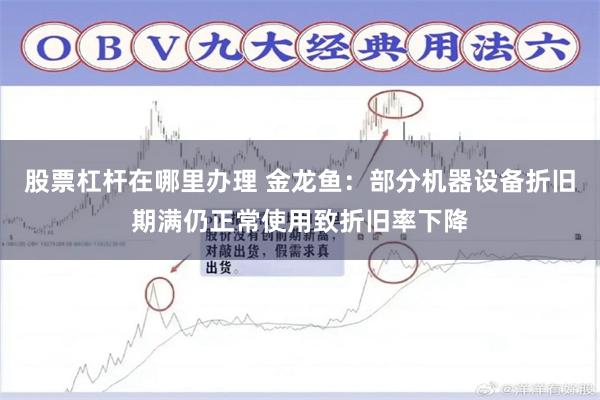 股票杠杆在哪里办理 金龙鱼：部分机器设备折旧期满仍正常使用致折旧率下降