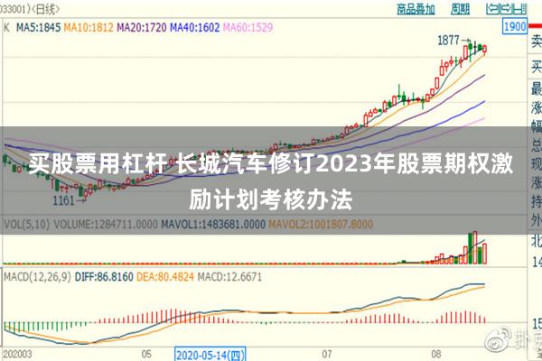 买股票用杠杆 长城汽车修订2023年股票期权激励计划考核办法