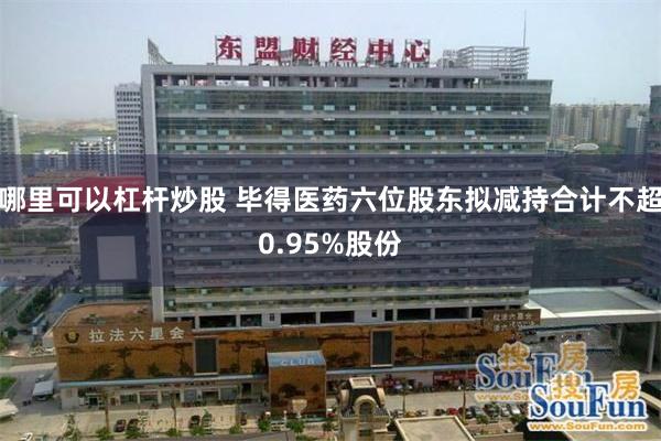 哪里可以杠杆炒股 毕得医药六位股东拟减持合计不超0.95%股份