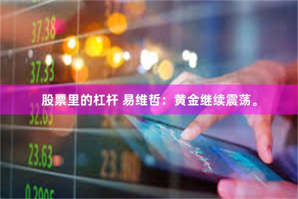 股票里的杠杆 易维哲：黄金继续震荡。
