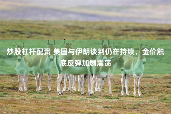 炒股杠杆配资 美国与伊朗谈判仍在持续，金价触底反弹加剧震荡