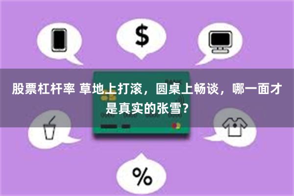 股票杠杆率 草地上打滚,圆桌上畅谈,哪一面才是真实的张雪?