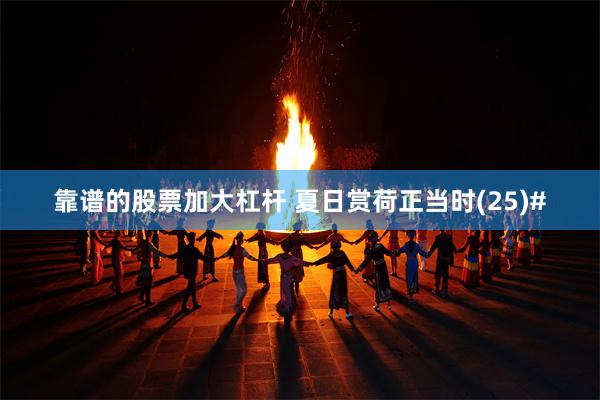 靠谱的股票加大杠杆 夏日赏荷正当时(25)#