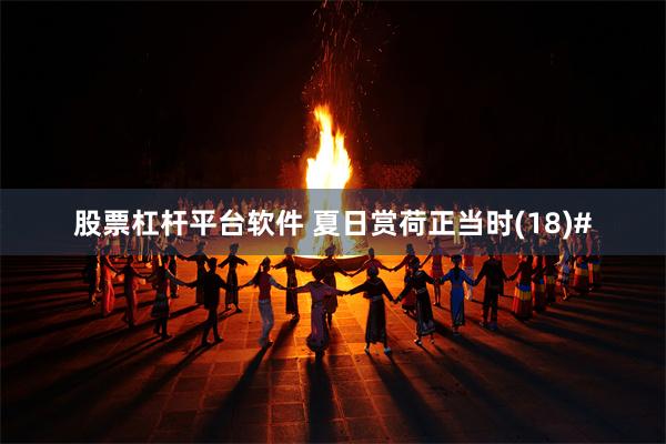 股票杠杆平台软件 夏日赏荷正当时(18)#