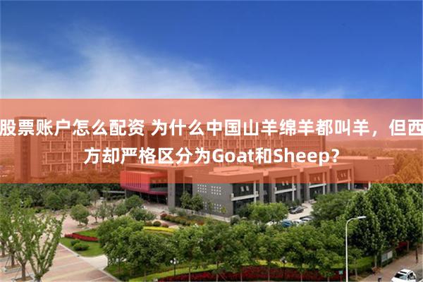 股票账户怎么配资 为什么中国山羊绵羊都叫羊，但西方却严格区分为Goat和Sheep？