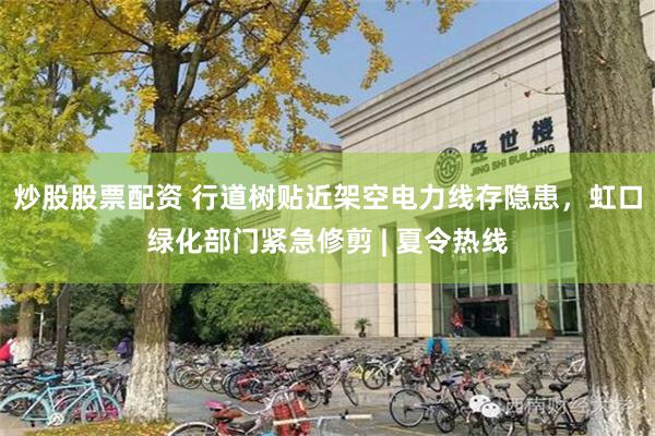 炒股股票配资 行道树贴近架空电力线存隐患,虹口绿化部门紧急修剪 | 夏令热线
