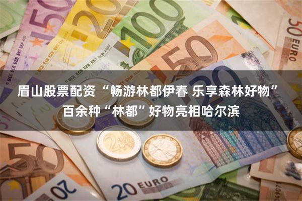眉山股票配资 “畅游林都伊春 乐享森林好物” 百余种“林都”好物亮相哈尔滨