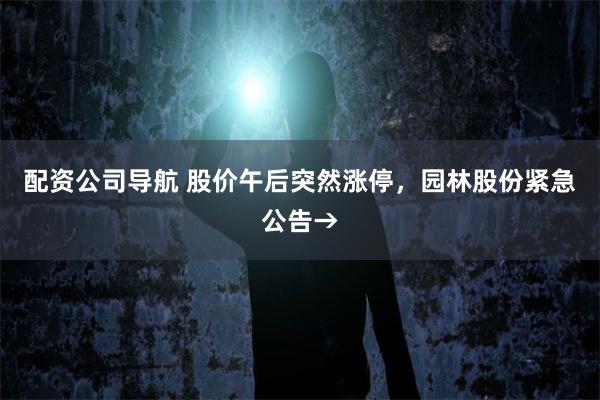 配资公司导航 股价午后突然涨停，园林股份紧急公告→