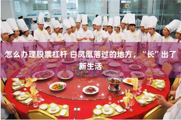 怎么办理股票杠杆 白凤凰落过的地方，“长”出了新生活