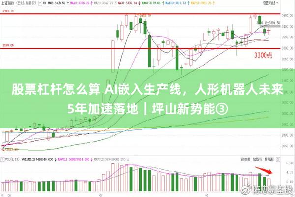 股票杠杆怎么算 AI嵌入生产线，人形机器人未来5年加速落地｜坪山新势能③