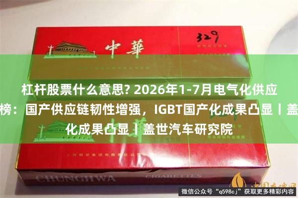 杠杆股票什么意思? 2026年1-7月电气化供应商装机量排行榜:国产供应链韧性增强,IGBT国产化成果凸显丨盖世汽车研究院
