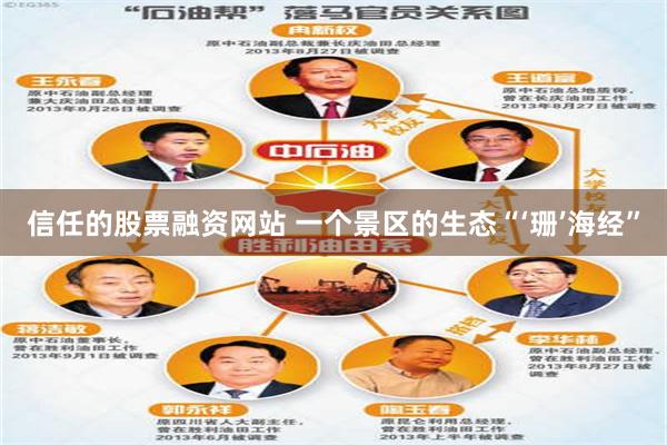 信任的股票融资网站 一个景区的生态“‘珊’海经”