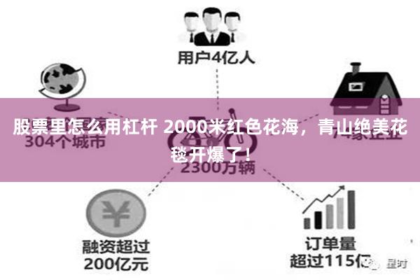 股票里怎么用杠杆 2000米红色花海，青山绝美花毯开爆了！