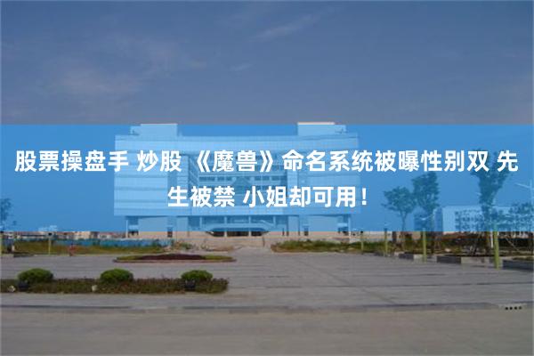 股票操盘手 炒股 《魔兽》命名系统被曝性别双 先生被禁 小姐却可用！