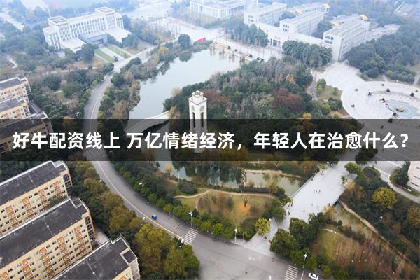 好牛配资线上 万亿情绪经济，年轻人在治愈什么？
