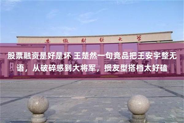 股票融资是好是坏 王楚然一句竞品把王安宇整无语，从破碎感到大将军，损友型搭档太好磕