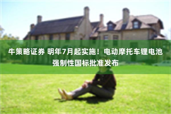 牛策略证券 明年7月起实施！电动摩托车锂电池强制性国标批准发布